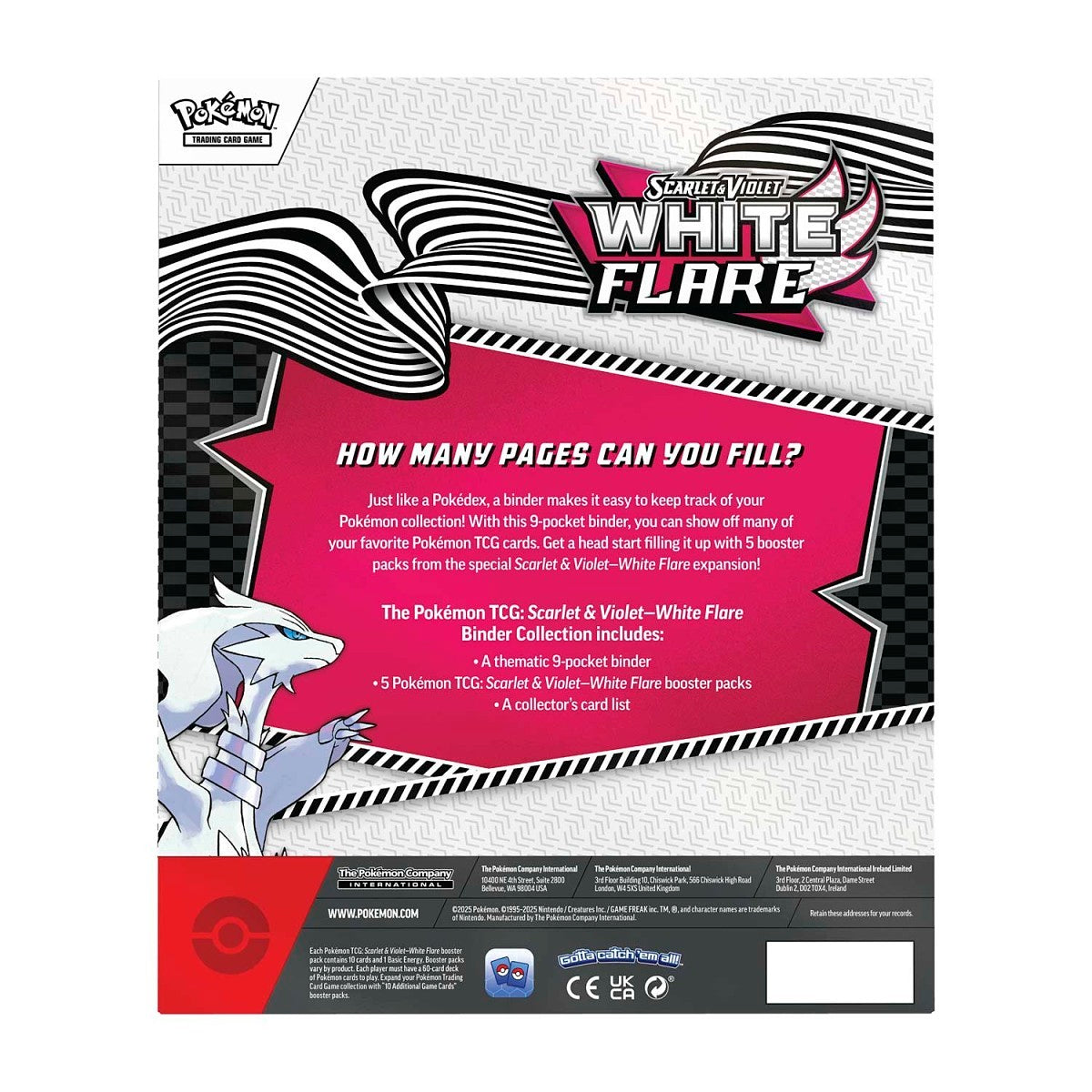 White Flare Binder Collection - SV: White Flare